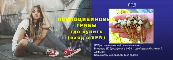 ГАЛЛЮЦИНОГЕННЫЕ ГРИБЫ Ступино