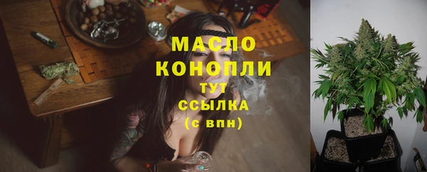молекула духа Белоозёрский