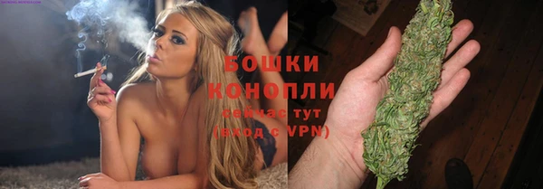 apvp Белокуриха