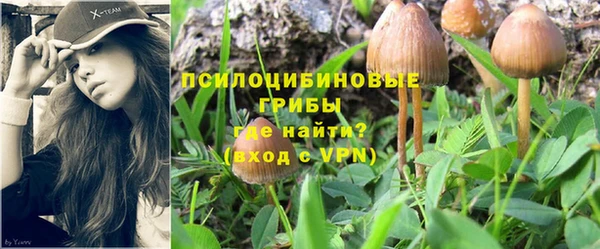 молекула духа Белоозёрский