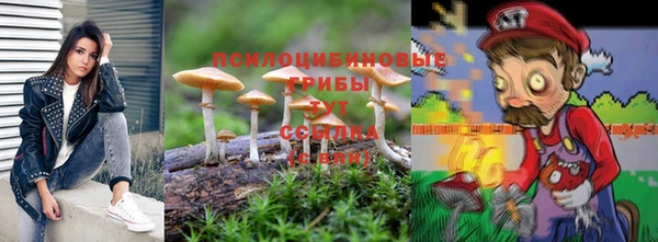 apvp Белокуриха