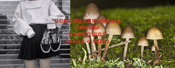 apvp Белокуриха